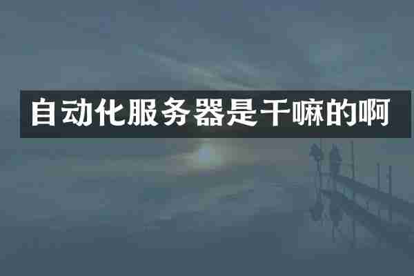 自动化服务器是干嘛的啊