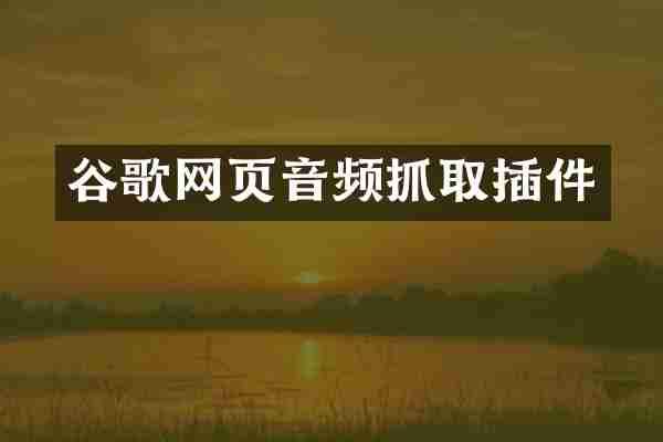 谷歌网页音频抓取插件