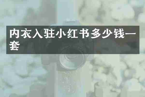 内衣入驻小红书多少钱一套