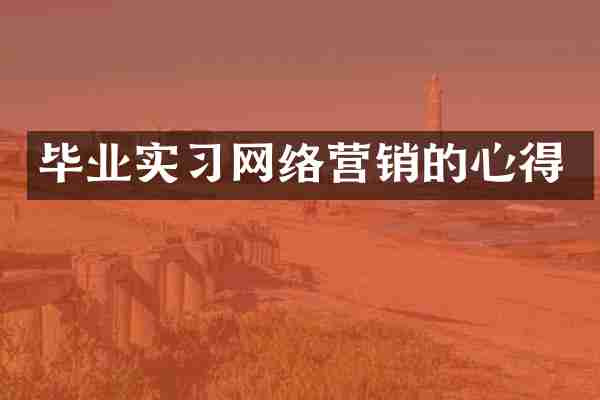 毕业实习网络营销的心得