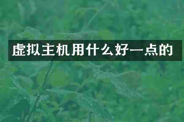 虚拟主机用什么好一点的