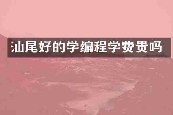 汕尾好的学编程学费贵吗