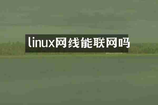 linux网线能联网吗