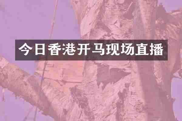 今日香港开马现场直播