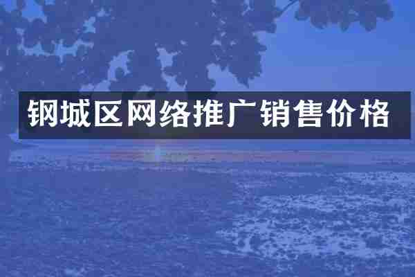 钢城区网络推广销售价格
