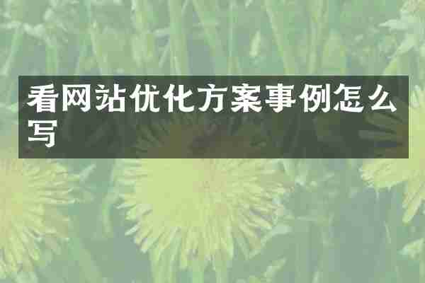 看网站优化方案事例怎么写