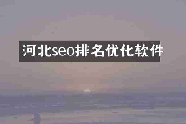 河北seo排名优化软件