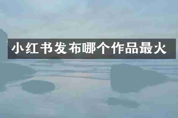 小红书发布哪个作品最火