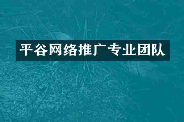 平谷网络推广专业团队