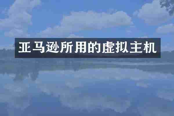 亚马逊所用的虚拟主机