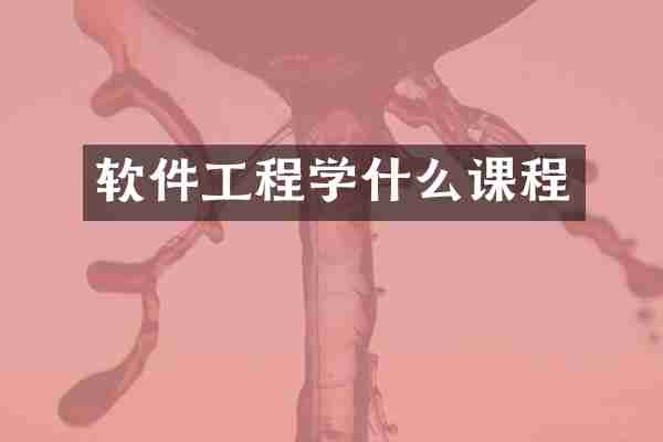 软件工程学什么课程