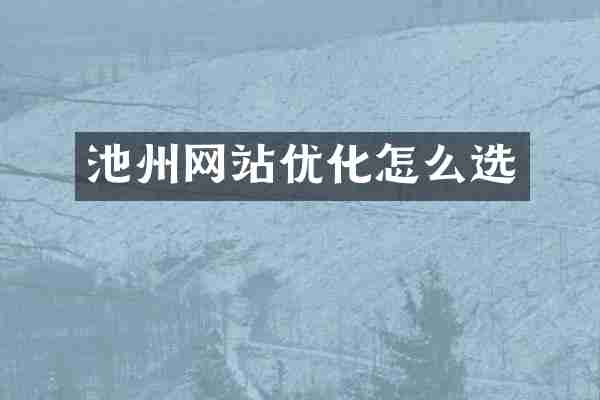 池州网站优化怎么选