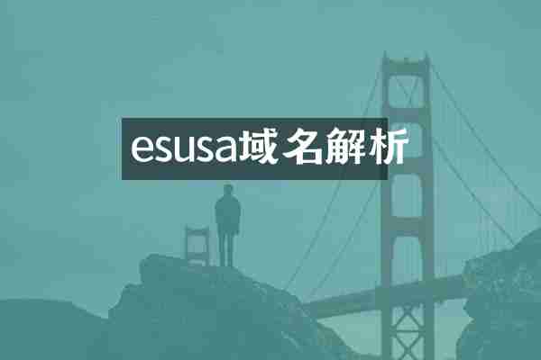 esusa域名解析