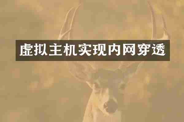 虚拟主机实现内网穿透