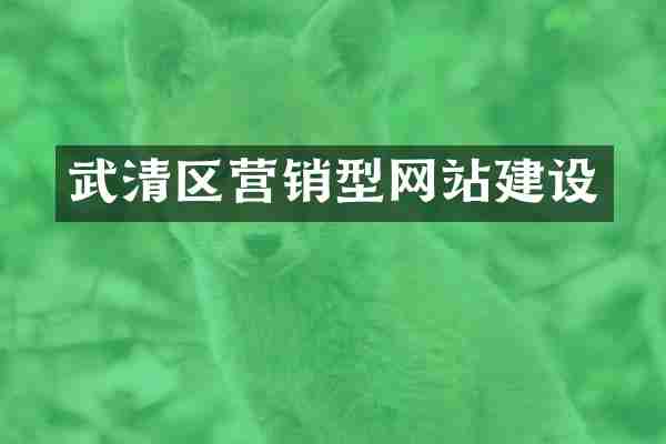 武清区营销型网站建设