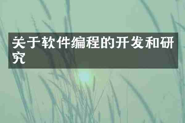 关于软件编程的开发和研究