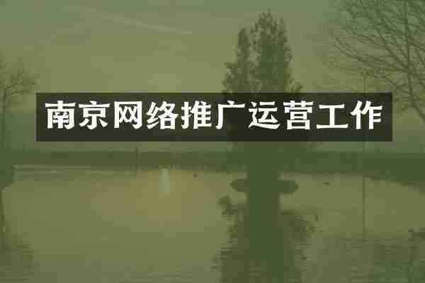 南京网络推广运营工作
