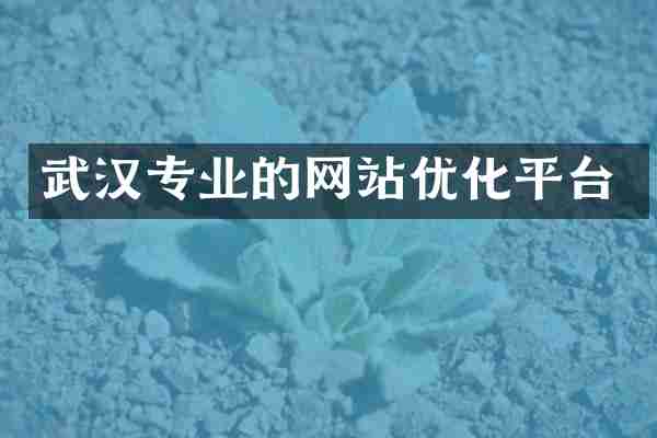 武汉专业的网站优化平台