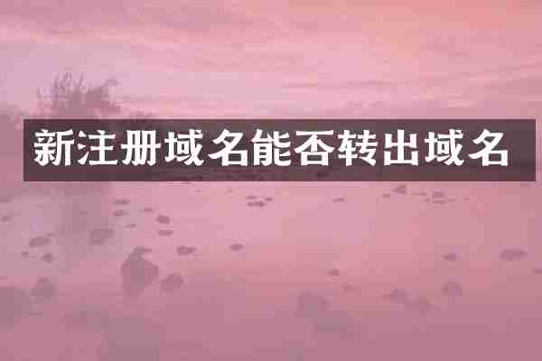 新注册域名能否转出域名
