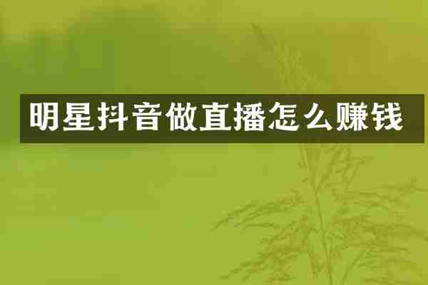 明星抖音做直播怎么赚钱