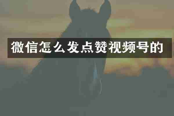 微信怎么发点赞视频号的