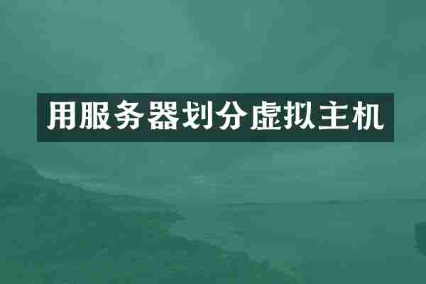 用服务器划分虚拟主机