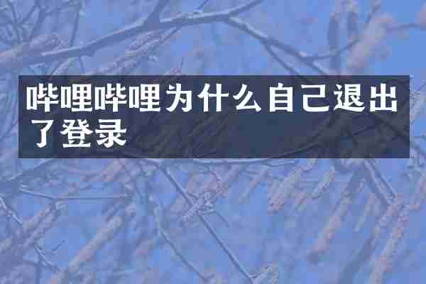 哔哩哔哩为什么自己退出了登录