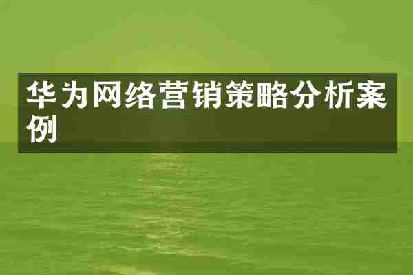 华为网络营销策略分析案例