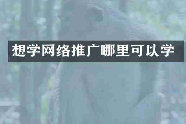 想学网络推广哪里可以学