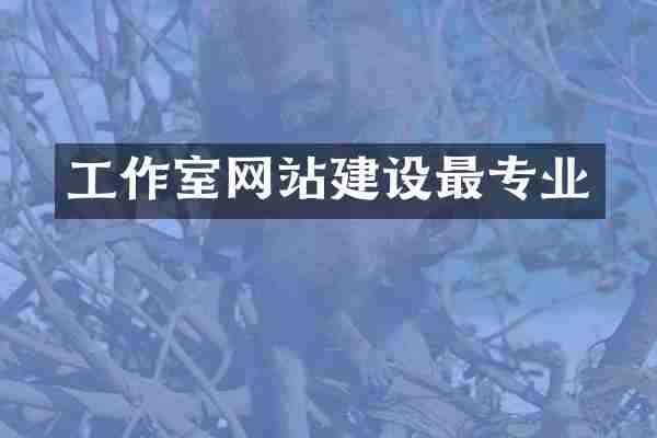 工作室网站建设最专业
