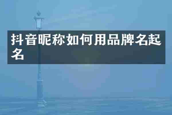 抖音昵称如何用品牌名起名