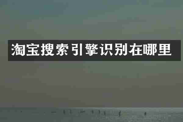 淘宝搜索引擎识别在哪里