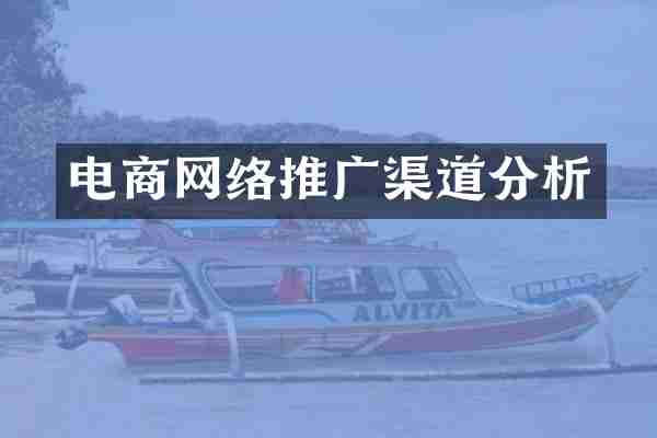 电商网络推广渠道分析