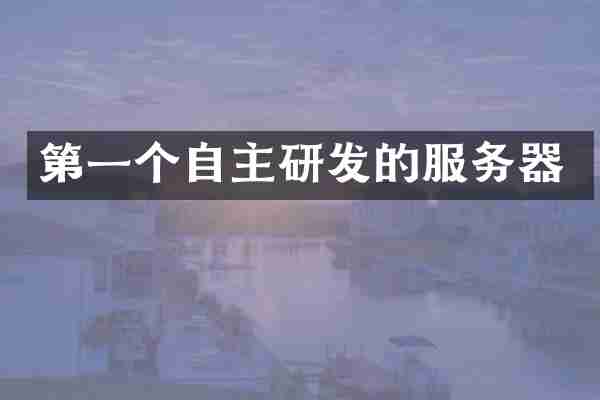 第一个自主研发的服务器