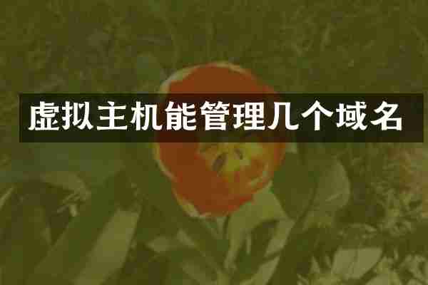 虚拟主机能管理几个域名