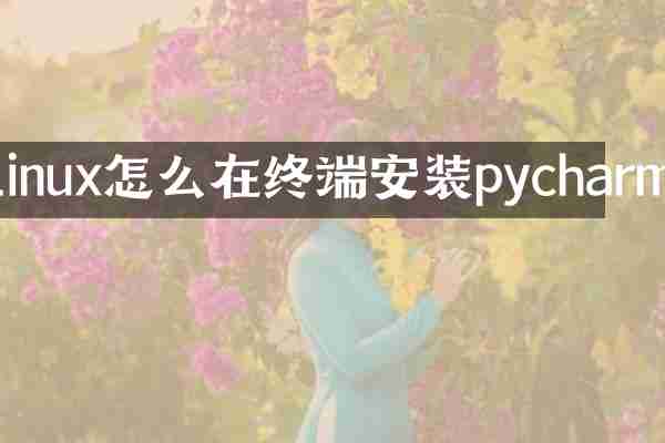 linux怎么在终端安装pycharm