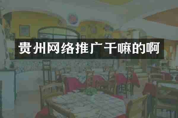 贵州网络推广干嘛的啊