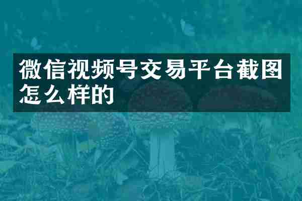微信视频号交易平台截图怎么样的