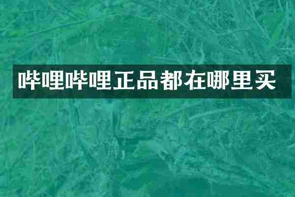 哔哩哔哩正品都在哪里买