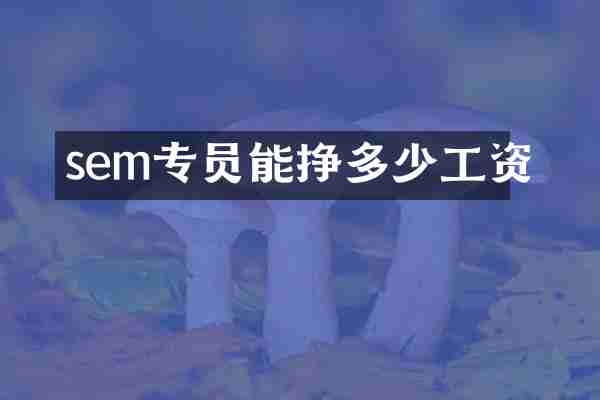 sem专员能挣多少工资