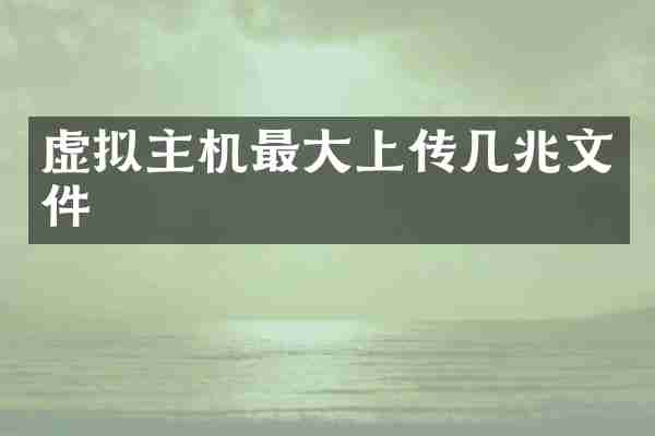 虚拟主机最大上传几兆文件