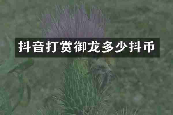 抖音打赏御龙多少抖币
