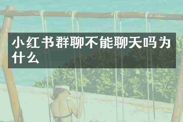 小红书群聊不能聊天吗为什么