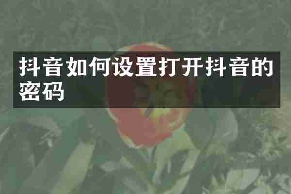抖音如何设置打开抖音的密码