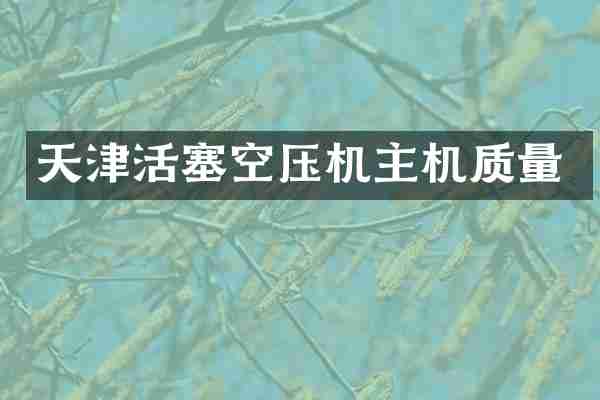 天津活塞空压机主机质量