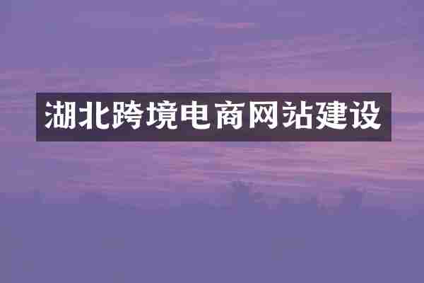 湖北跨境电商网站建设