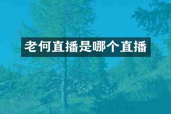 老何直播是哪个直播