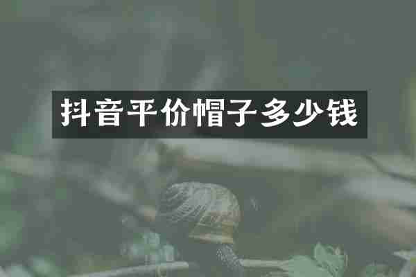 抖音平价帽子多少钱