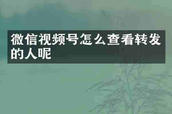 微信视频号怎么查看转发的人呢