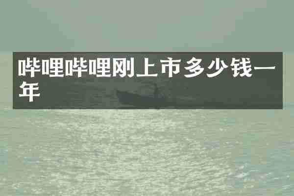 哔哩哔哩刚上市多少钱一年